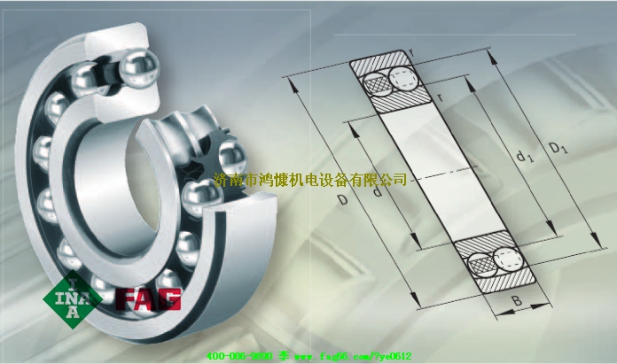 濟南進(jìn)口軸承 FAG軸承